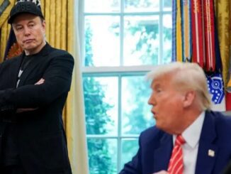 trump musk